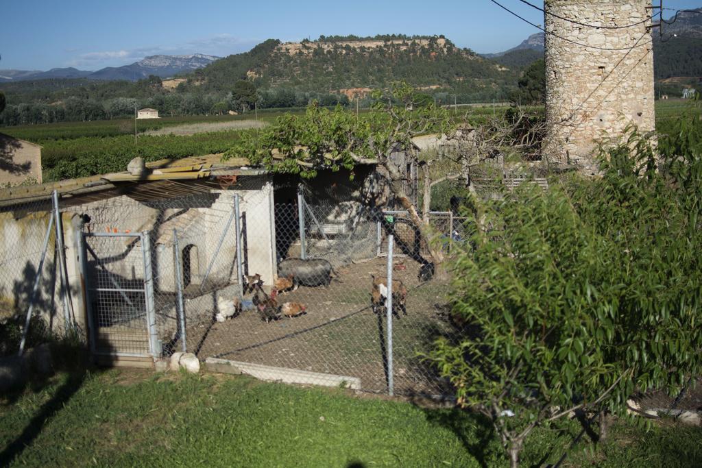 Mas Taniet Hotel Rural Benissanet Kültér fotó